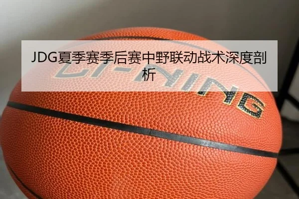 JDG夏季赛季后赛中野联动战术深度剖析