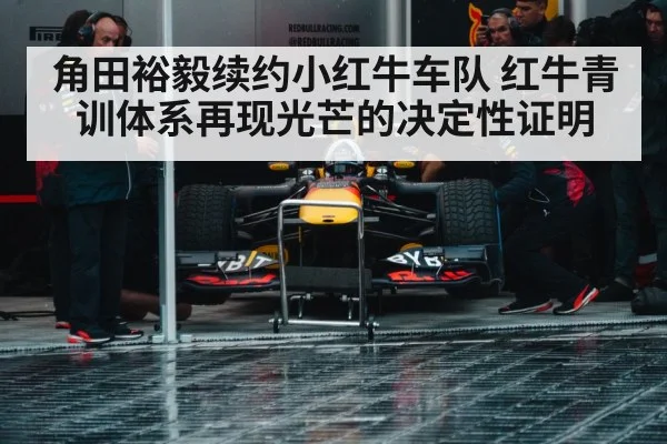Red Bull junior team