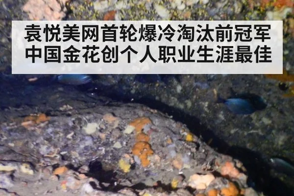 袁悦美网首轮爆冷淘汰前冠军 中国金花创个人职业生涯最佳